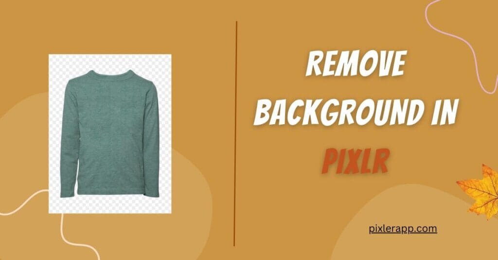 How To Remove Background in Pixlr? Pixlr Editor Learn Free Photo